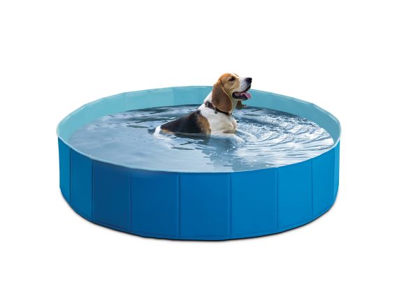 Faltbarer Hundepool | Intex