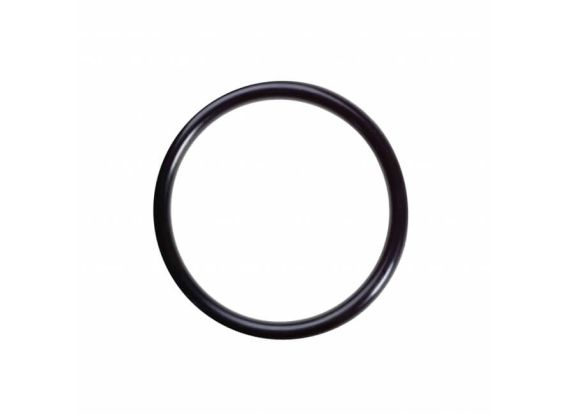 O-Ring für Comfortpool-Solarmodul
