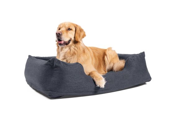 Aufblasbares Hundebett | Mittlere Größe